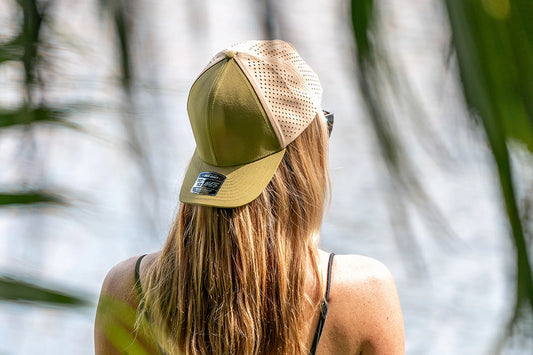 6 Panel